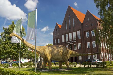 Einen Blick in die Urzeit gibt es im Staatlichen Naturhistischen Museum. Vor der Tür begrüßt bereits ein Dinosaurier die Gäste. 