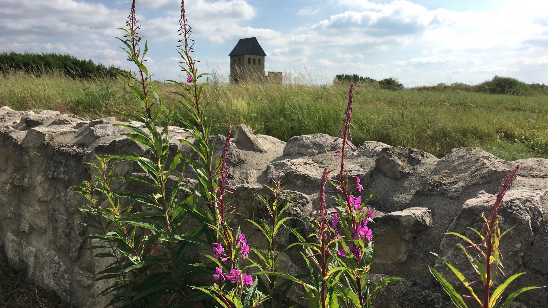 Überblick über den Archäologie- und Landschaftspark Kaiserpfalz Werla