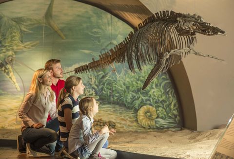 Familienausflug in das Städtische Museum Schloss Salder - Im Angesicht des Ichthyosauriers 