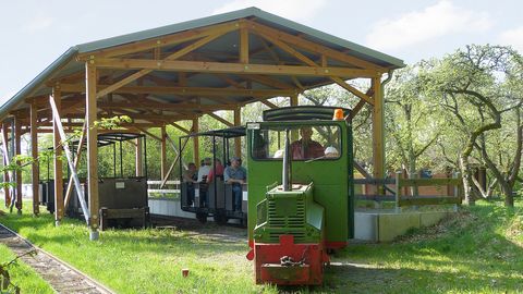 Fahrt mit der Moorbahn in das Große Moor bei Westerbeck 